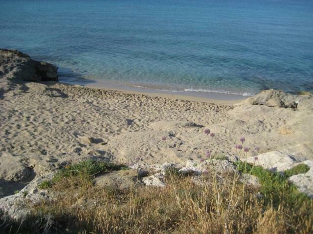 Attico A 150 Mt Dal Mare Villa Marina di Mancaversa Kültér fotó